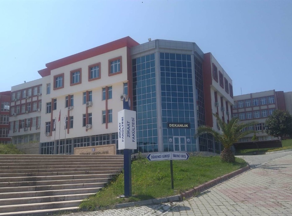 ADÜ Ziraat Fakültesi kestane üretim izni aldı 