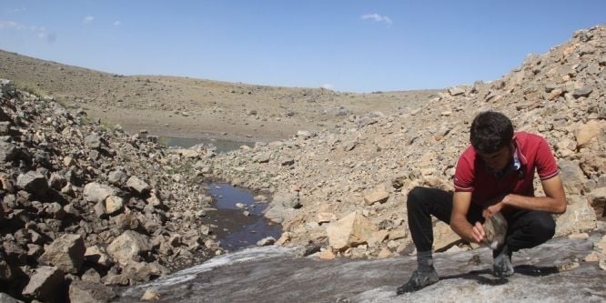 Eriyen kar suları gölet oluşturdu