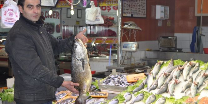 Taze balık mı, dondurulmuş balık mı?