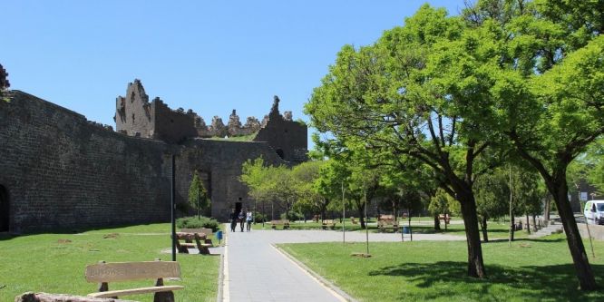 Sur çiçeklerle renklendi