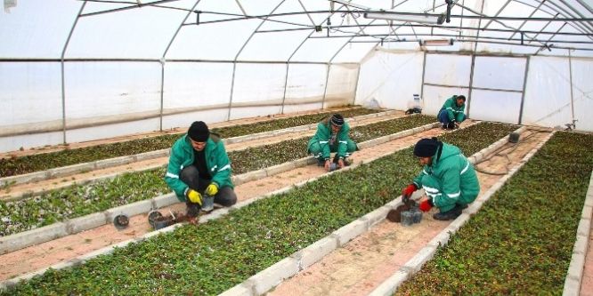 Elazığ Belediyesi rengarenk bir şehir için üretiyor