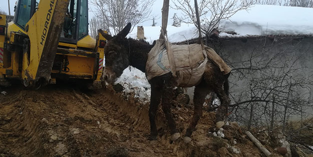 AFAD ekipleri eşeği kurtarmak için seferber oldu