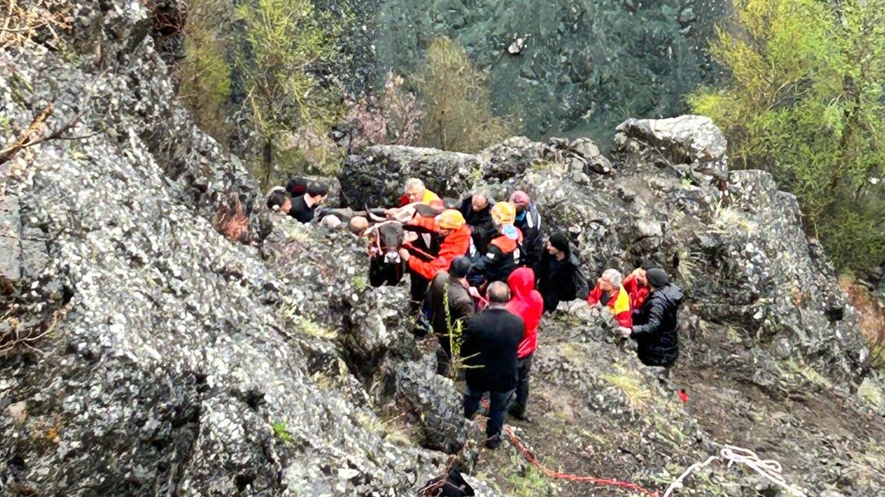 AFAD ekipleri seferber oldu! Kayalıkta mahsur kalan inekler böyle kurtarıldı