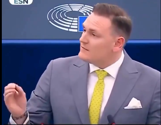 AFD Milletvekili Tomasz Froelich Avrupa parlamentosunda hakkı tutup kaldırdı.