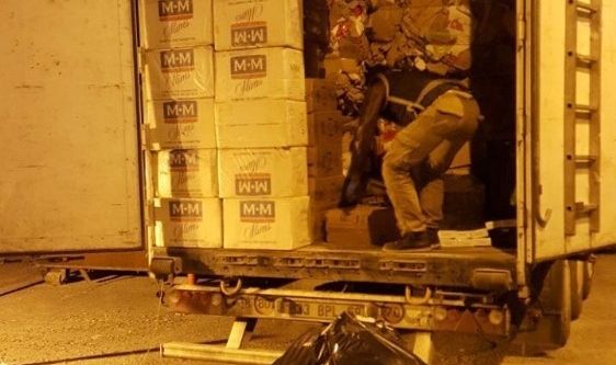 58 bin 500 paket kaçak sigara ele geçirildi