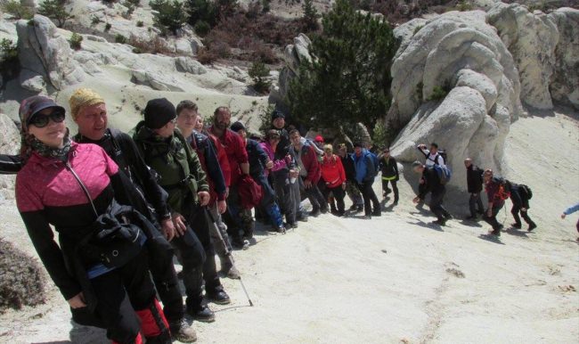 AFDOS Frig Vadisinde