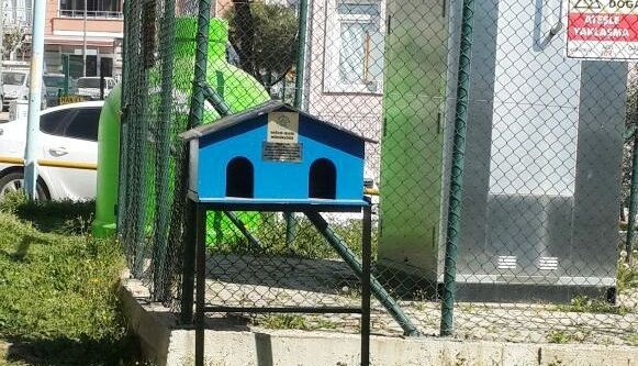 Sokak kedileri için yeni kedi evleri yerleştirilmeye başlandı