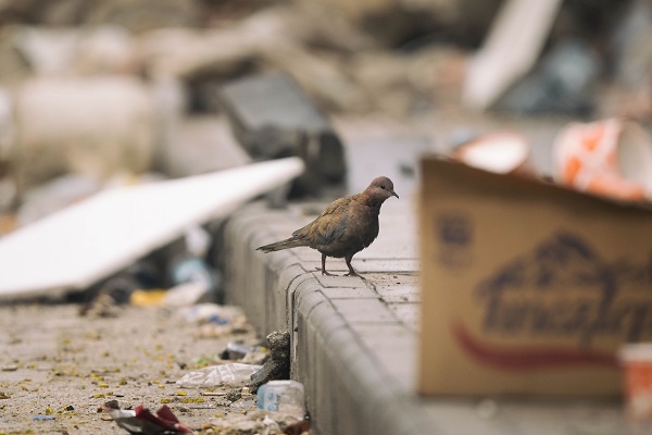 Afet bölgesine gitmişlerdi! İki gençten haber alınamıyor