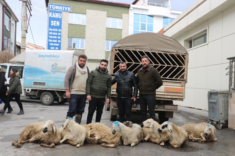 Afetlerden korunmak için kurban kestiler 