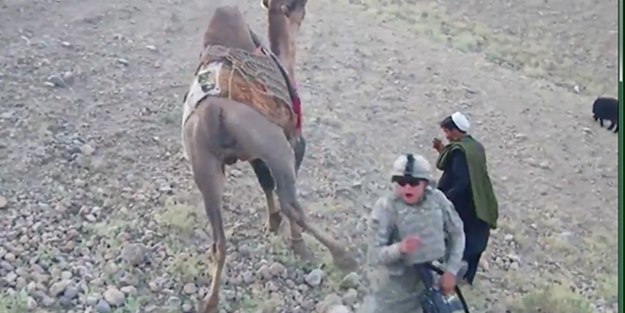 Afgan deveden işgalci ABD askerine tekme/ VİDEO