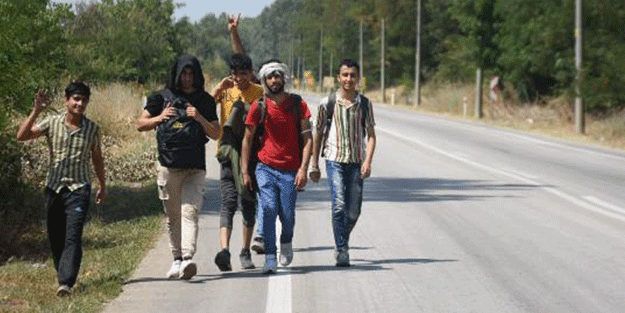 Afgan göçmenler Yunanistan'a akın etti! Sebebi şok etti