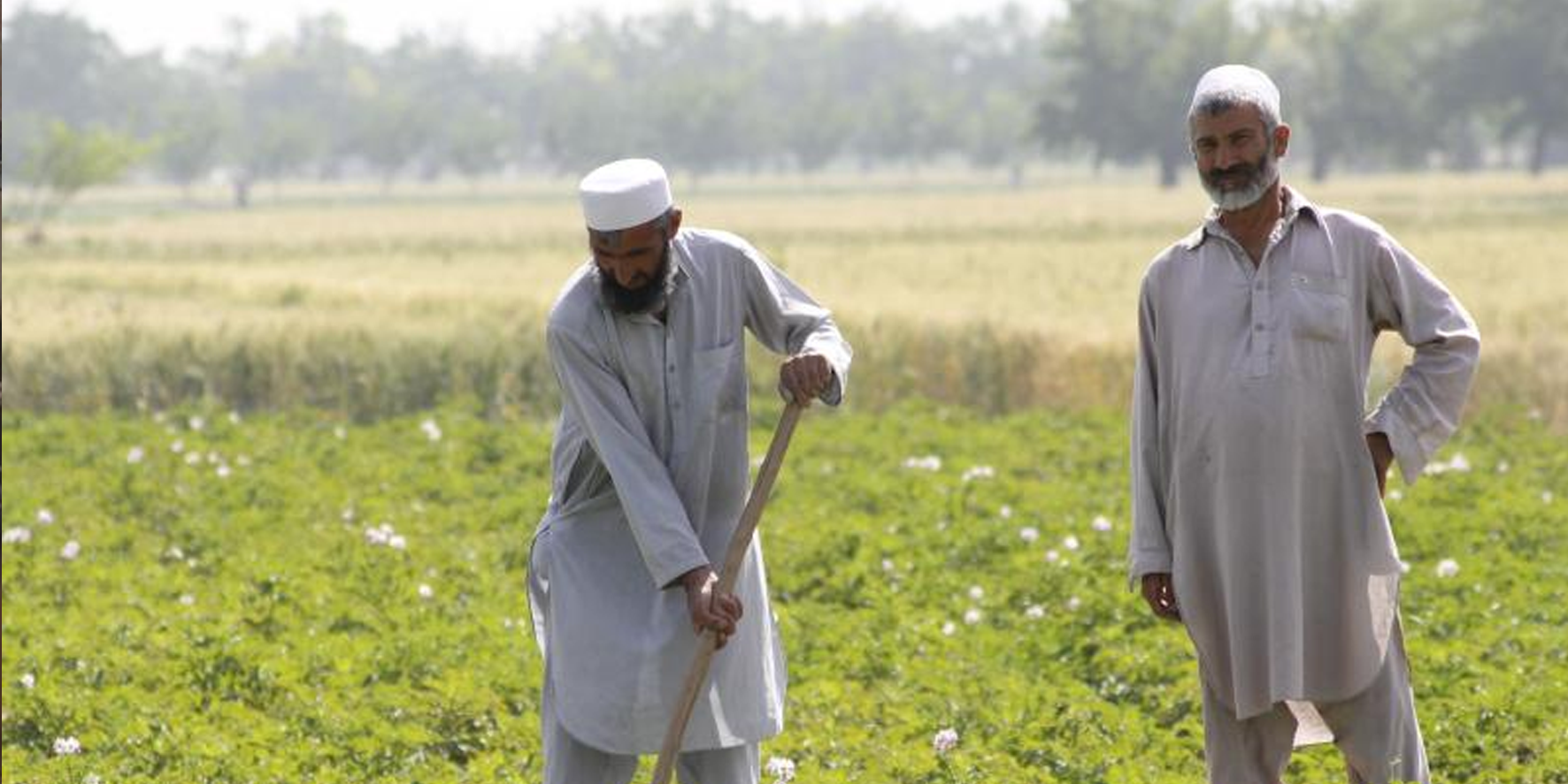 Afganistan kuraklık kriziyle karşı karşıya!