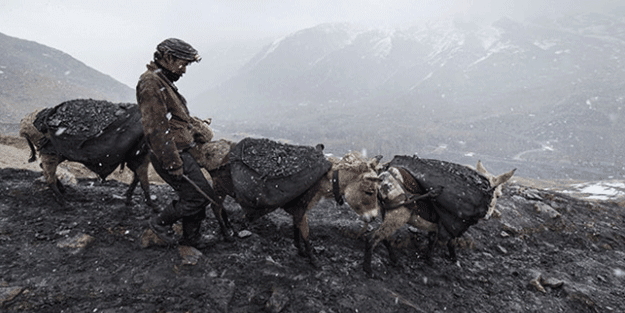 Afganistan'da facia! 10 kişi öldü