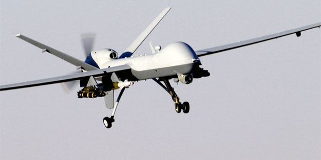 Terör örgütünün 2 önemli komutanı öldürüldü