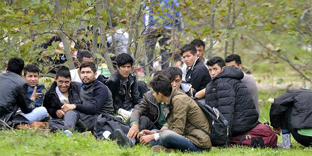 Kaçakları 'İzmir' diye bakın nereye bıraktılar!