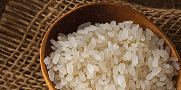 Afrika kıtasının incisi Fildişi Sahili, pirinç satın almak için Türkiye'nin kapısını çaldı! Türk üretici arıyor