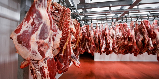 Afrika ülkesi duyurdu: Türkiye üzerinden Avrupa pazarına girmek istiyoruz