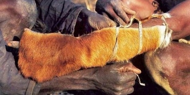 Afrika yerlilerinin inanılmaz piton avı! - FOTO