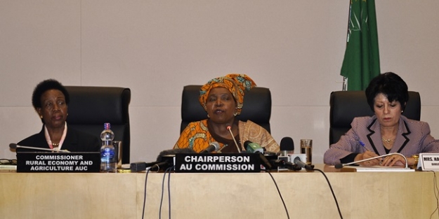 Afrika Birliği'nden Mısır'a ret