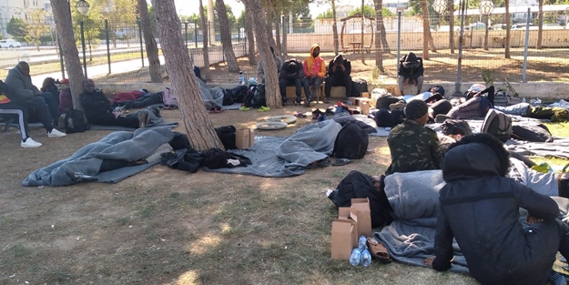 Afrika'dan geldiler, Didim'de yakalandılar