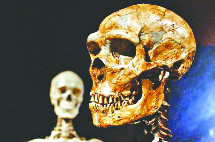 Afrikalıların kafataslarını açık artırmaya çıkardılar