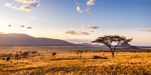 Afrika'ya gıda için 30 milyar dolar