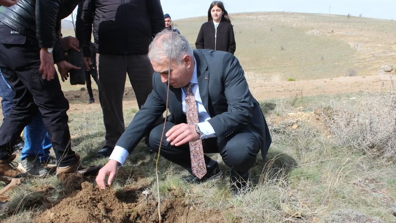 Afşar Köyü’nde 31. Ağaç Bayramı coşkusu