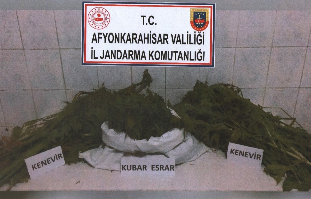 Afyon’da 1 kilo 5 gram esrar, 80 kök kenevir elegeçirildi 