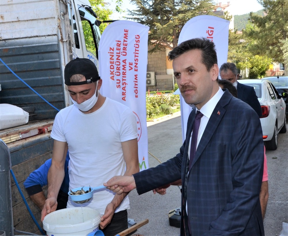 Afyonkarahisar’da 31 gölete 208 bin 500 balık salındı 