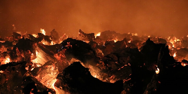 Biyoenerji tesisinde dev yangın!