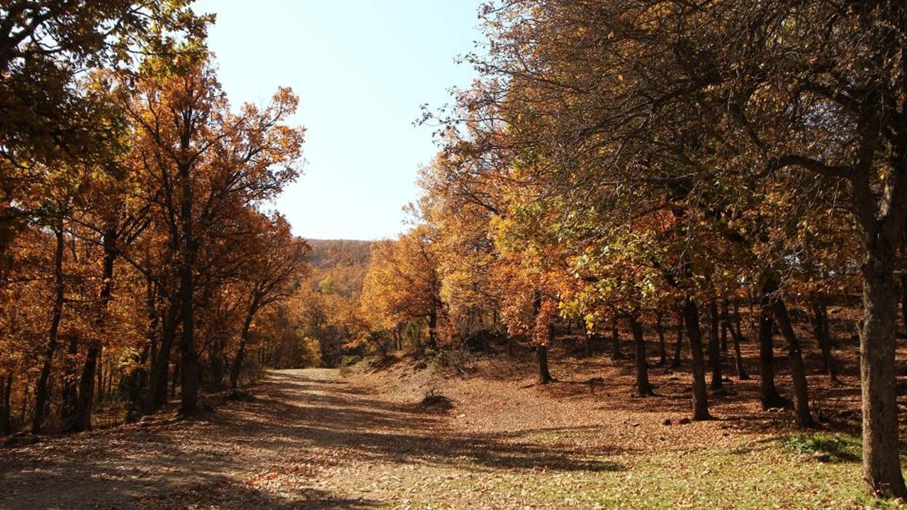 Afyonkarahisar’da kartpostallık görüntüler