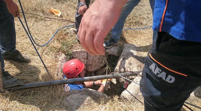 Afyonkarahisar'da kuyuya düşen danayı AFAD ekipleri kurtardı