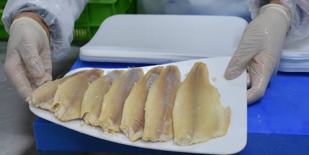 Afyonkarahisar'da üretip dünyaya satıyorlar!