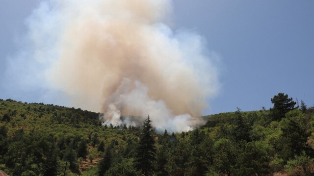 Afyonkarahisar'da vatandaşın dikkati orman yangınını önledi!