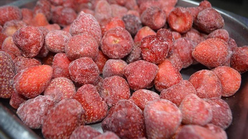 Afyonkarahisar’dan 30 ülkeye dondurulmuş meyve satışı