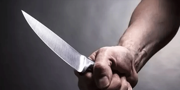 Ağabey ve kardeşin kavgası kanlı bitti