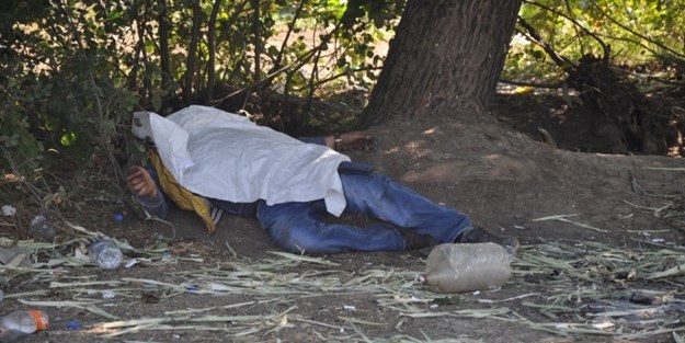 Ağaç altında ölü olarak bulundu