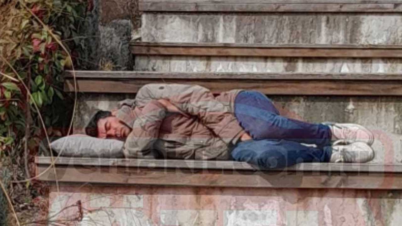 Ağaç A.Ş. yandaş arpalığına döndü! Ali Sukas içeride, personeli dışarıda uyuyor