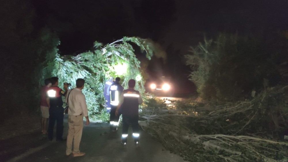 Ağaç dalları devrildi, otomobiller hasar gördü 