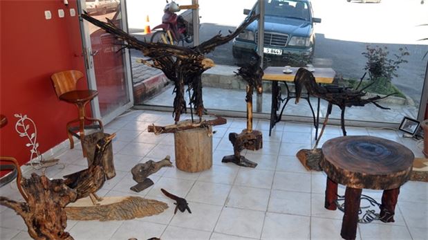 Ağaç dalları hünerli ellerde