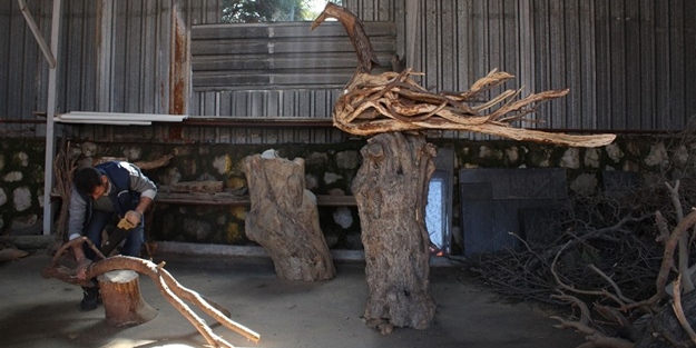 Ağaç dallarıyla sanat yapıyor