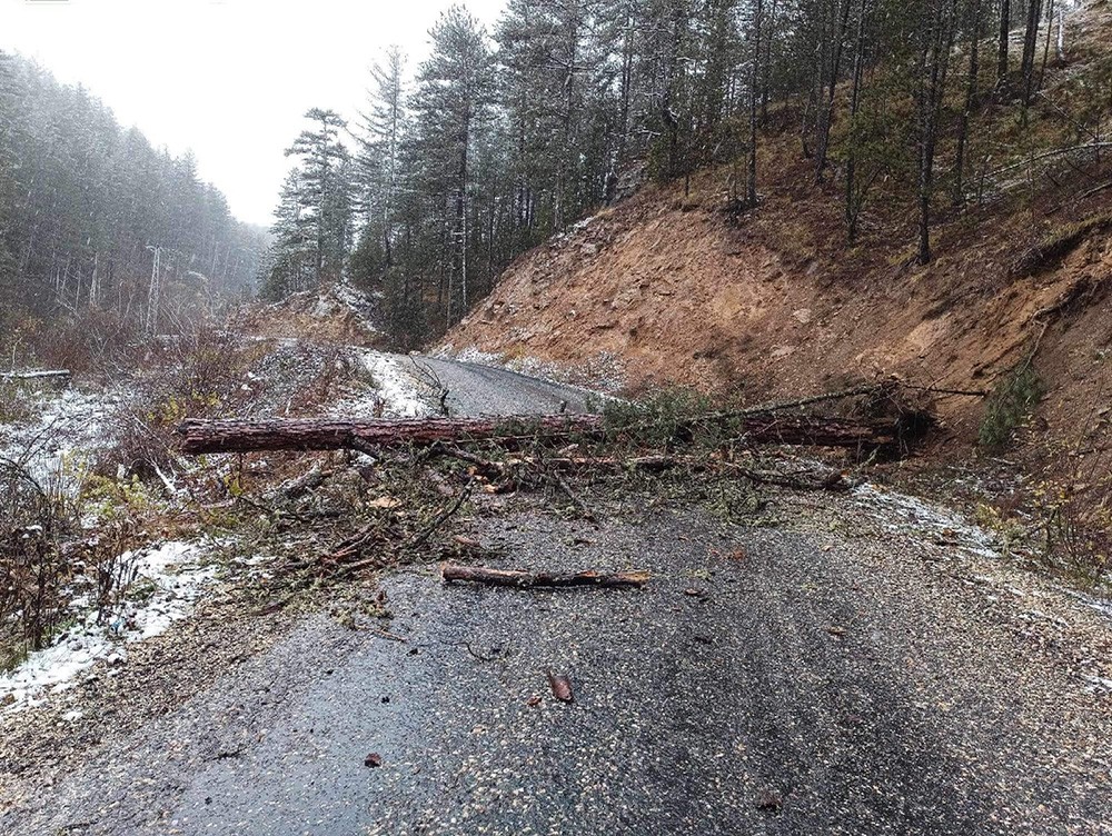 Ağaç devrildi köy yolu ulaşıma kapandı!