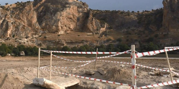 Ağaç dikme kampanyası sırasında 4 iskelet, 1 mezar bulundu