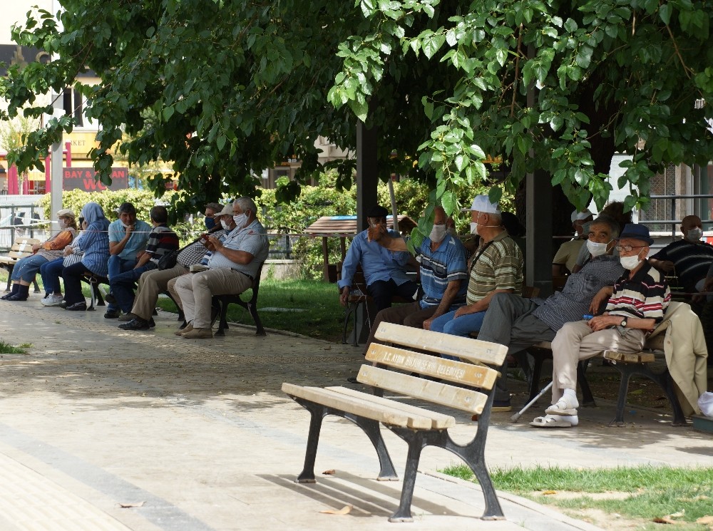 Ağaç gölgeleri yaşlılara korunak oldu 
