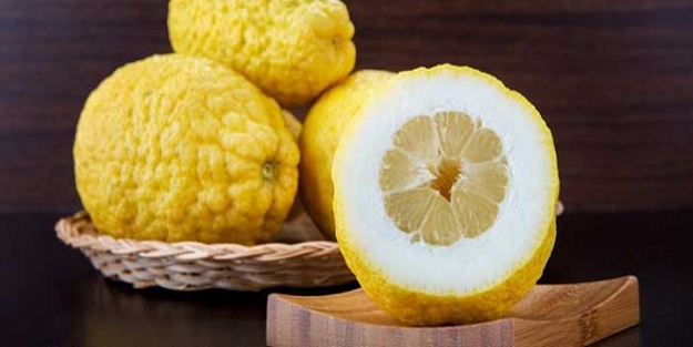 Ağaç kavununun faydaları nelerdir?