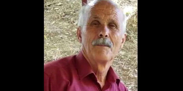 Ağaç keserken üzerine tomruk düşmesi sonucu öldü