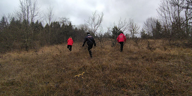 Ağaç kesmek için ormana giden 83 yaşındaki adam kayboldu
