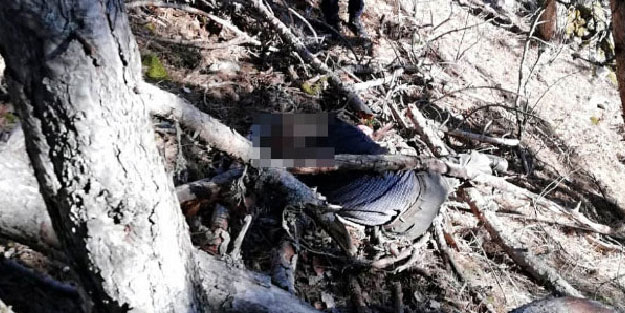 Ağaç kesmek için ormana gitti, ertesi gün ölü bulundu
