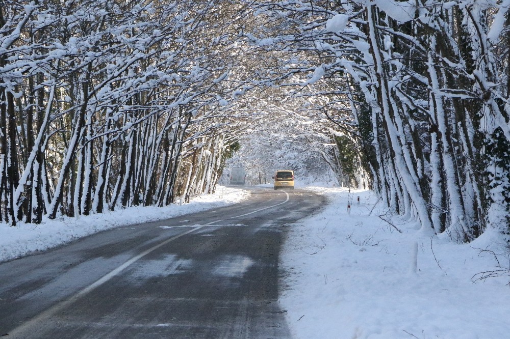 Ağaç tünellerde kar güzelliği 