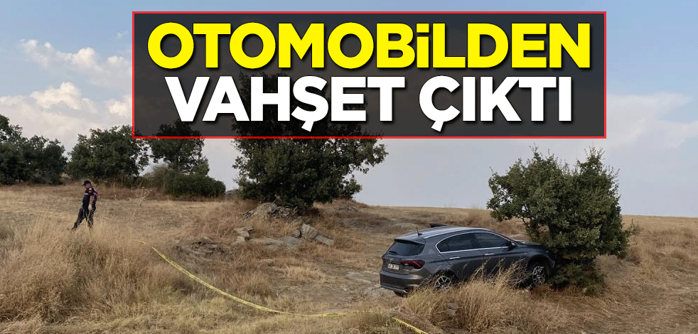 Ağaca çarpan otomobilden vahşet çıktı